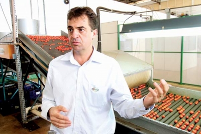 Empresa de Araguari se destaca e produz 18 t de tomate gourmet por dia